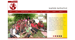 Desktop Screenshot of napierinitiative.org